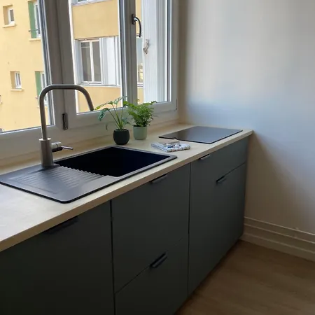 Le Sarcoui T1 Bis Parking Wifi Netflix * Chamalières